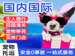 潮汕空运地址国际宠物托运 【国